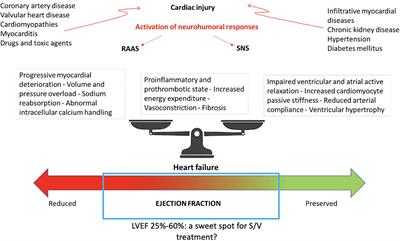 Sacubitril/Valsartan as a Therapeutic Tool Across the Range of Heart Failure Phenotypes and Ejection Fraction Spectrum